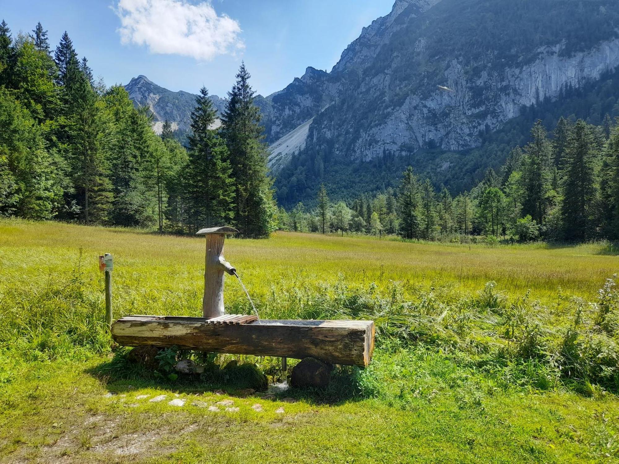 Im Naturgarten Teisendorf Dış mekan fotoğraf